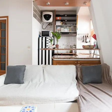 Duplex Design Close To Eiffel Tower View On Seine París
